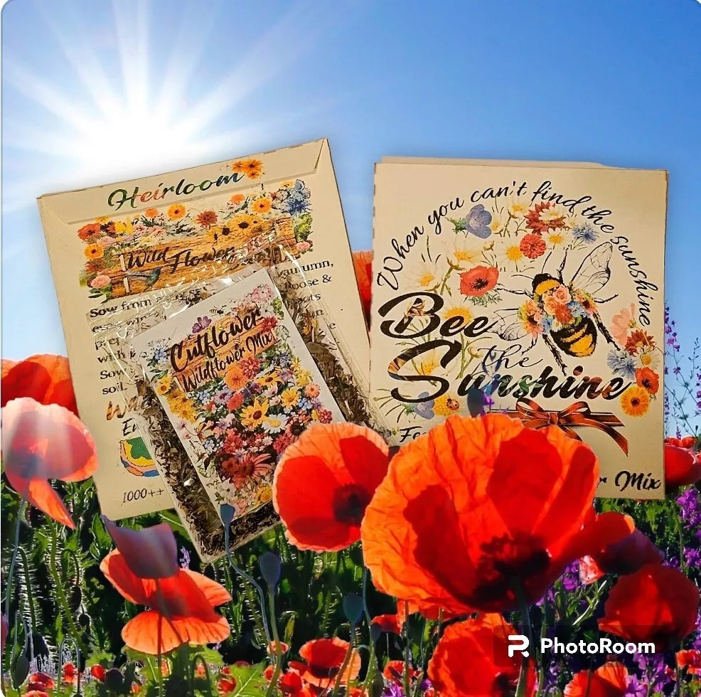 Wildflower Seeds - 1000+ Pollinator-Friendly Fragrant Mix - Bee The SUNSHINE