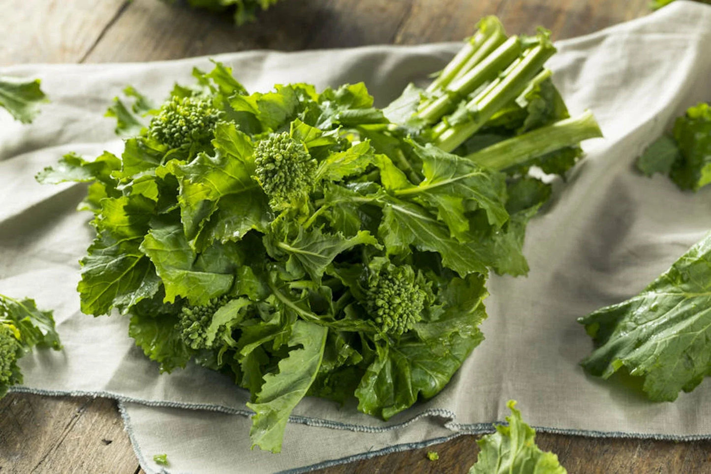 Organic Broccoli Raab Seeds - 1200+ Heirloom Non-GMO Brassica rapa var. ruvo for Home Gardening