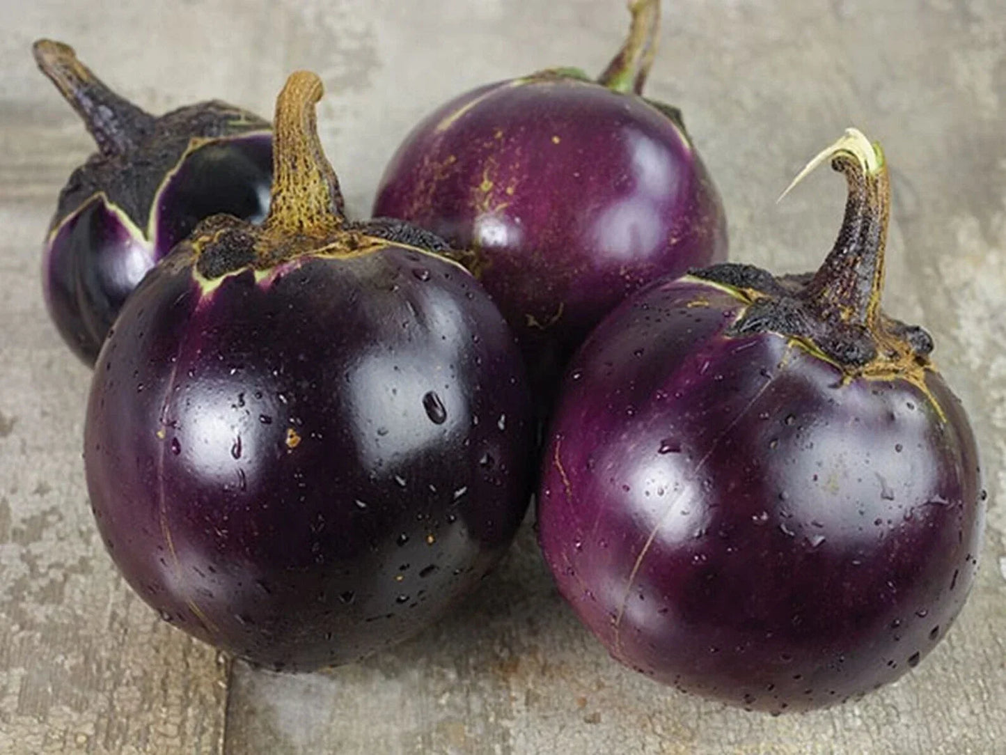 Thai Round Eggplant Seeds - 50+ Heirloom NON-GMO Asian Vegetable - Solanum melongena