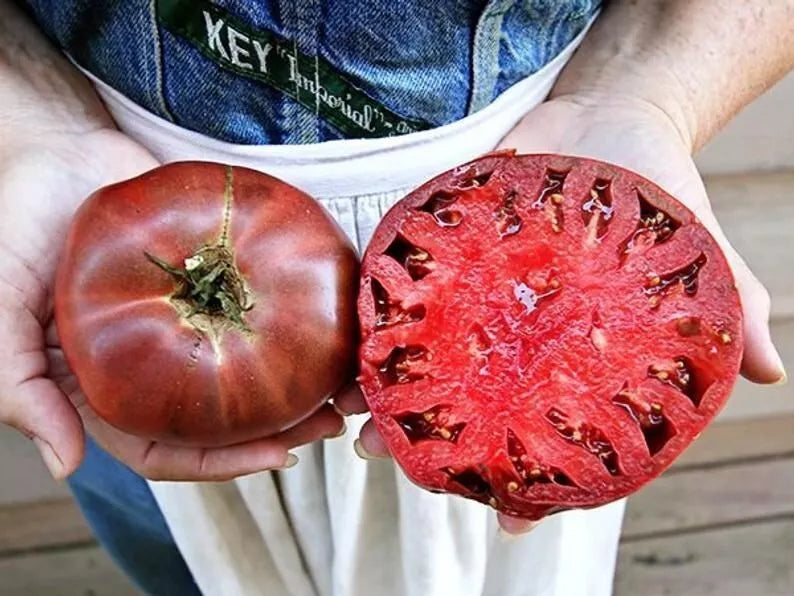 Cherokee Purple Tomato Seeds - 10+ Heirloom Non-GMO Seeds | Solanum lycopersicum