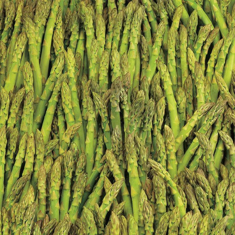 Asparagus Seeds 100+ Mary Washington Non-GMO Vegetable Garden Seeds - Asparagus officinalis