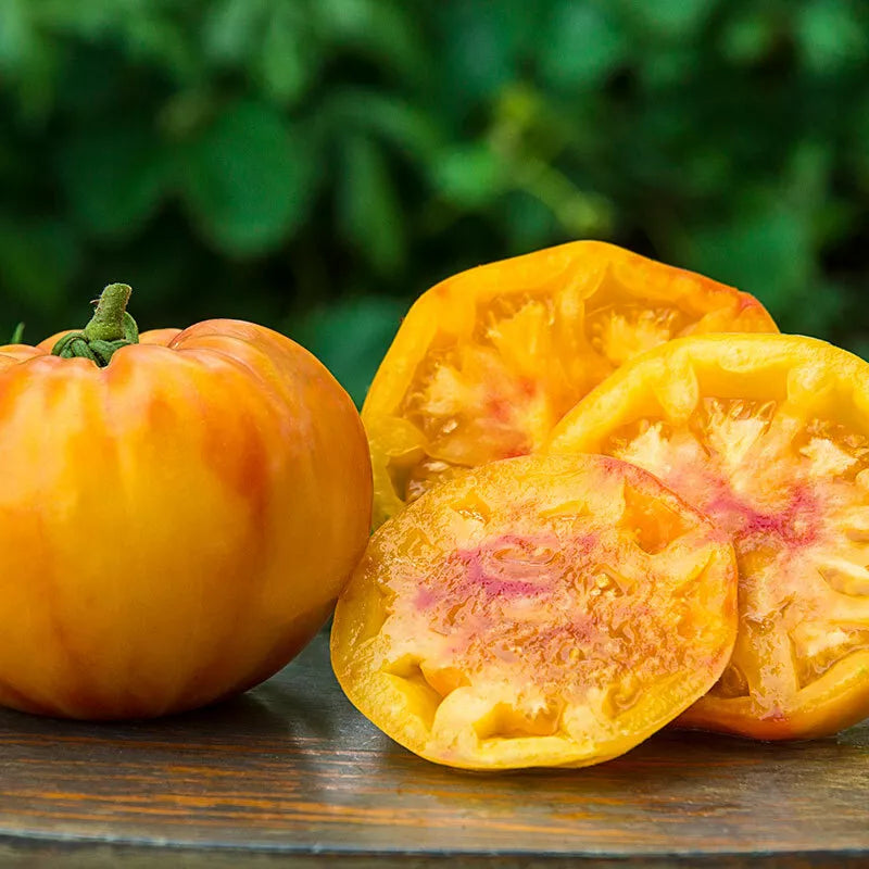 Gold Medal Ruby Gold Beefsteak Tomato Seeds NON-GMO Slicing Tomatoes