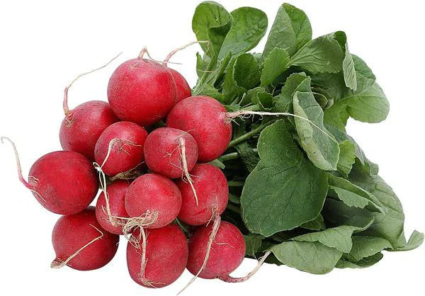 385 Seeds - Early Scarlet Globe Radish - Raphanus sativus - USA GroCo