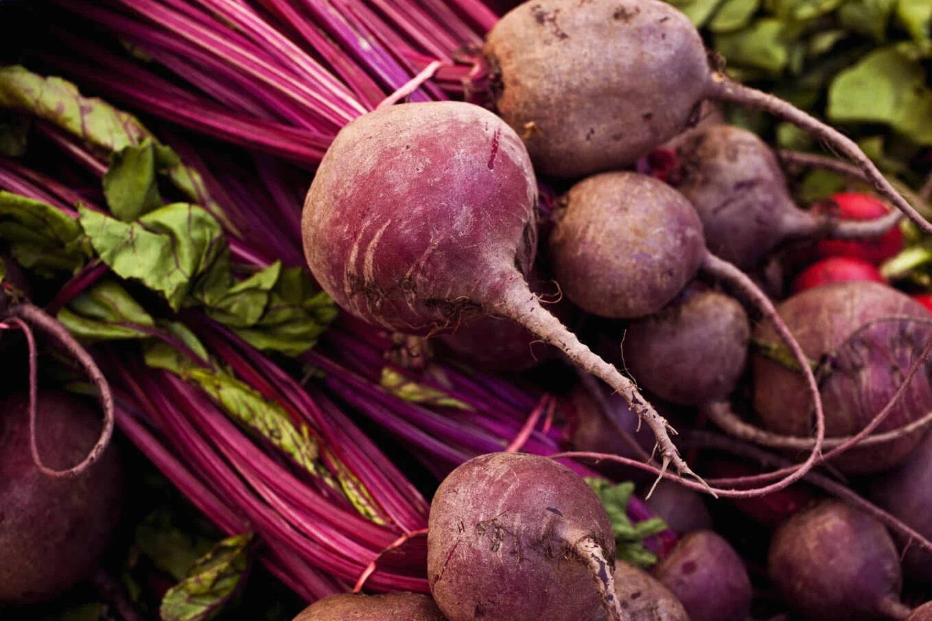 Detroit Dark Red Beet Seeds – Non-GMO, Heirloom Detroit Globe Variety, Organic Vegetable Seeds for Home Gardening
