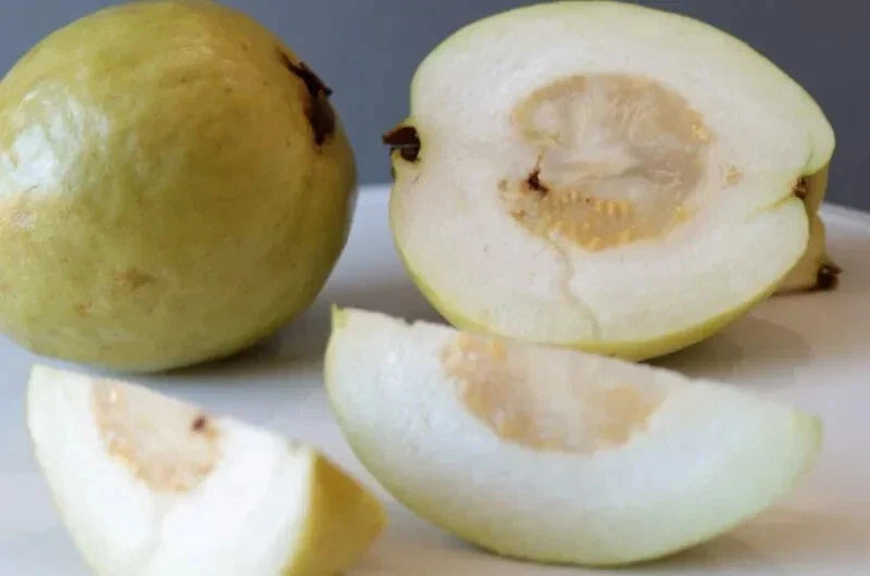 Sweet White Indonesia Guava Seeds – Fruit-Bearing Tree, Psidium guajava, 50+ Pack for Garden Planting