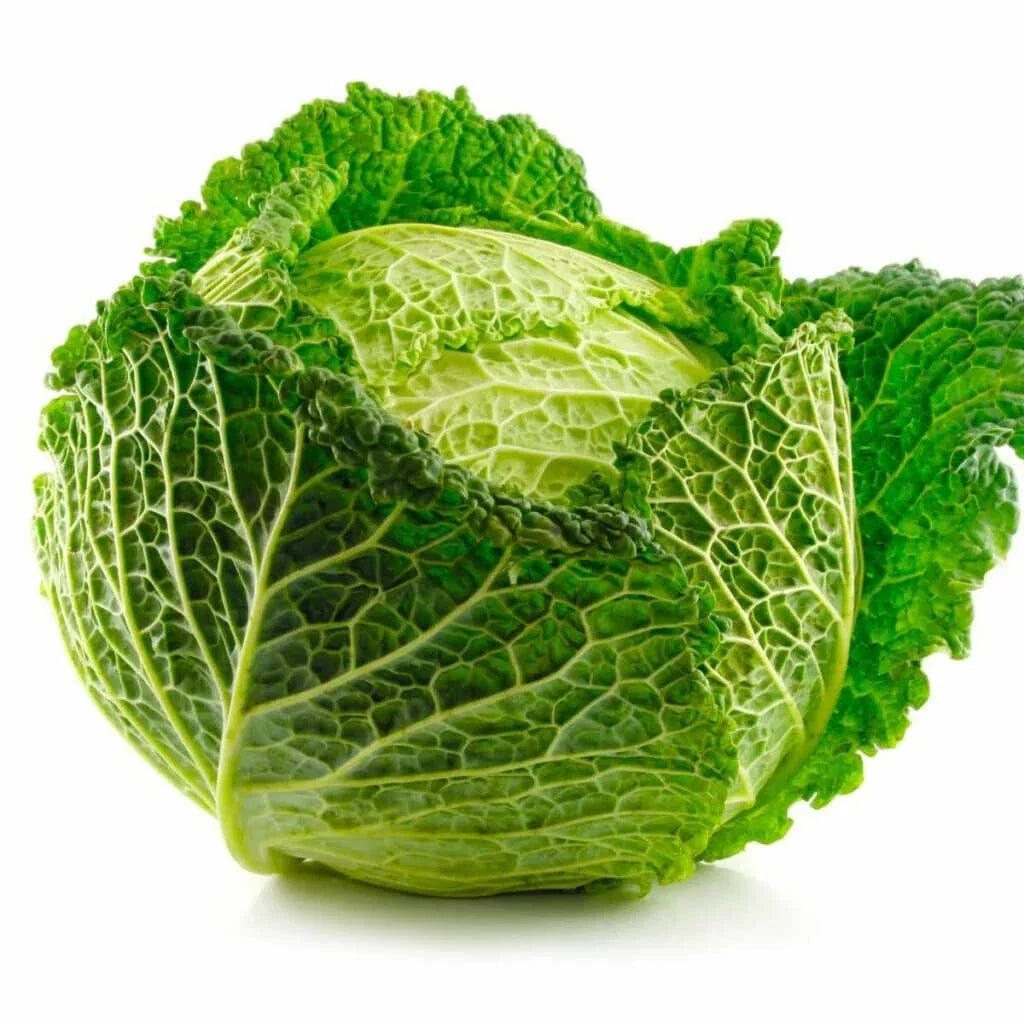 Savoy Cabbage Seeds, Curly Leaf Variety, Brassica oleracea, 500+ Non-GMO Organic Seeds for Garden Planting