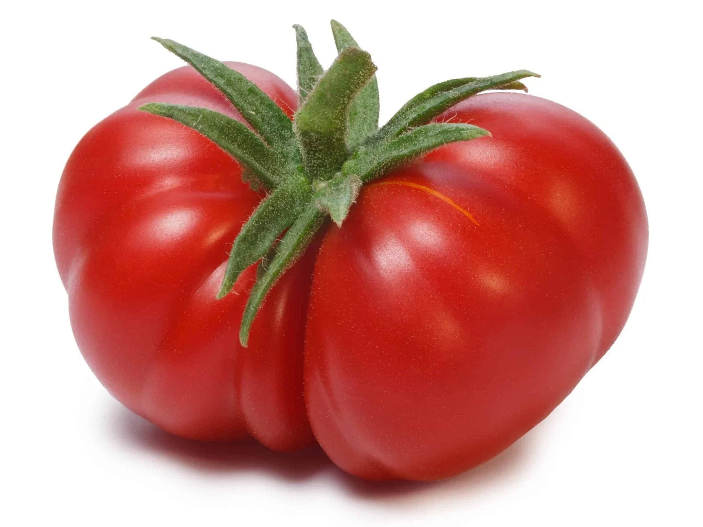 Beefsteak Tomato Seeds - 120+ Pack - Heirloom, Organic, Non-GMO - Solanum lycopersicum