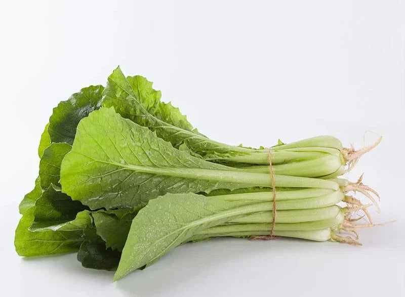 Pak Choi Seeds - 200+ Count Green Stem Chinese Cabbage Brassica rapa - Heirloom, Non-GMO, Fast-Growing Vegetable Seeds