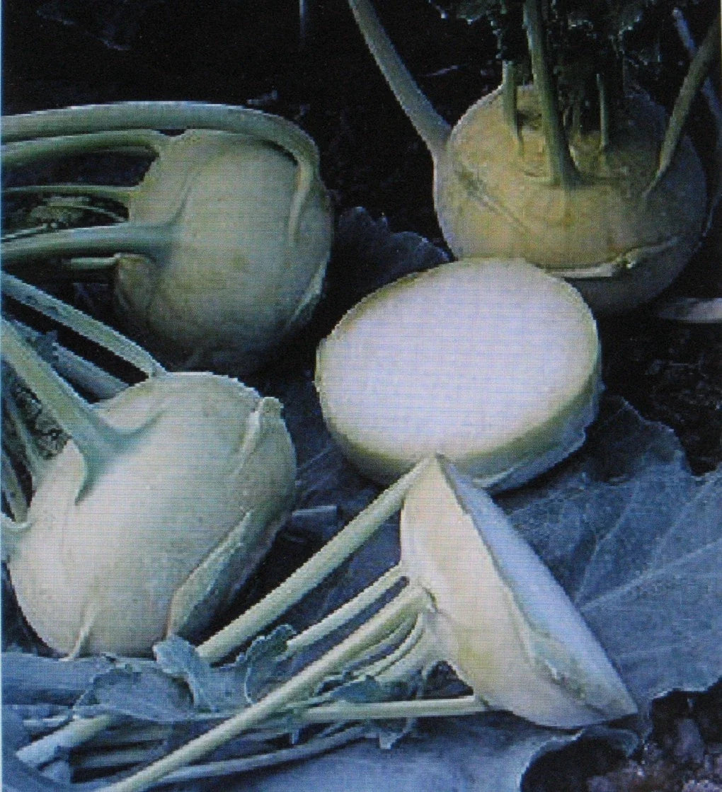 Kohlrabi Seeds - Early White Vienna - 100 Non-GMO Brassica oleracea Vegetable Seeds for Home Garden
