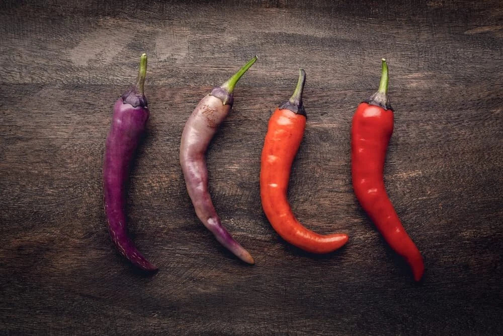 Buena Mulata Pepper Seeds - 50+ Capsicum annuum Edible Hot Peppers for Cooking & Garden Planting