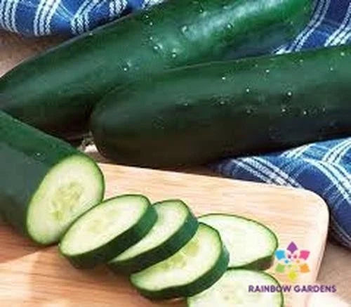 Diomede Cucumber Seeds - 25+ Pack for Garden Planting, Cucumis sativus, Home Garden, Climbing Vine, Non-GMO, USA Grown