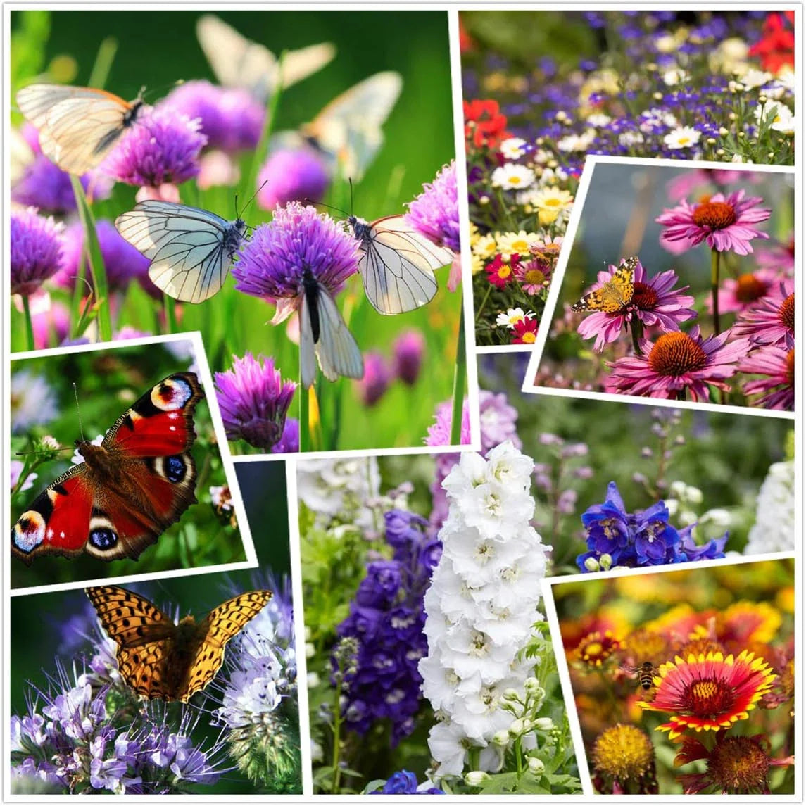 Wildflower Seeds Mix 2oz Non-GMO Perennial & Annual Wildflower Seed Blend for Pollinator Gardens