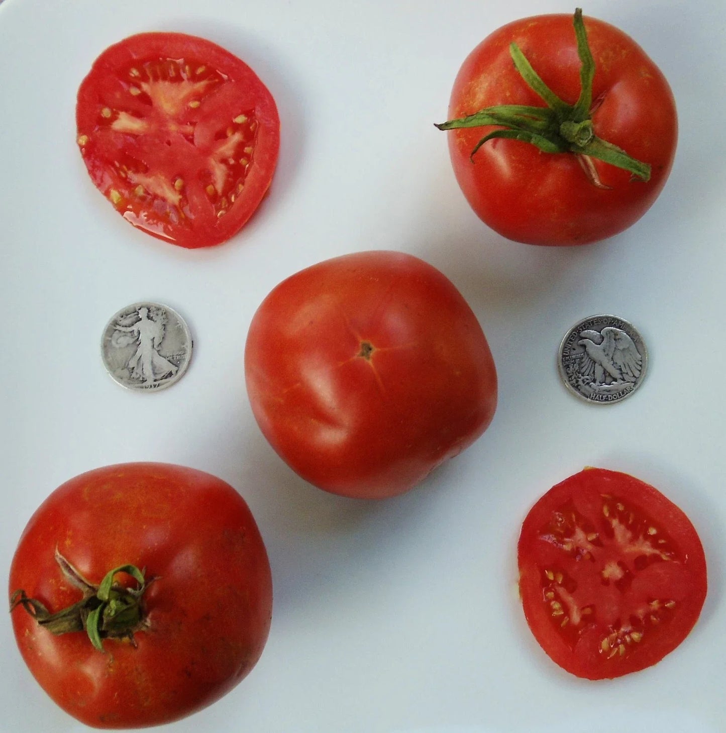 Marglobe Supreme Tomato Seeds - 25 Fresh Heirloom Solanum lycopersicum, Disease-Resistant, High-Yield, Full Sun, Non-GMO