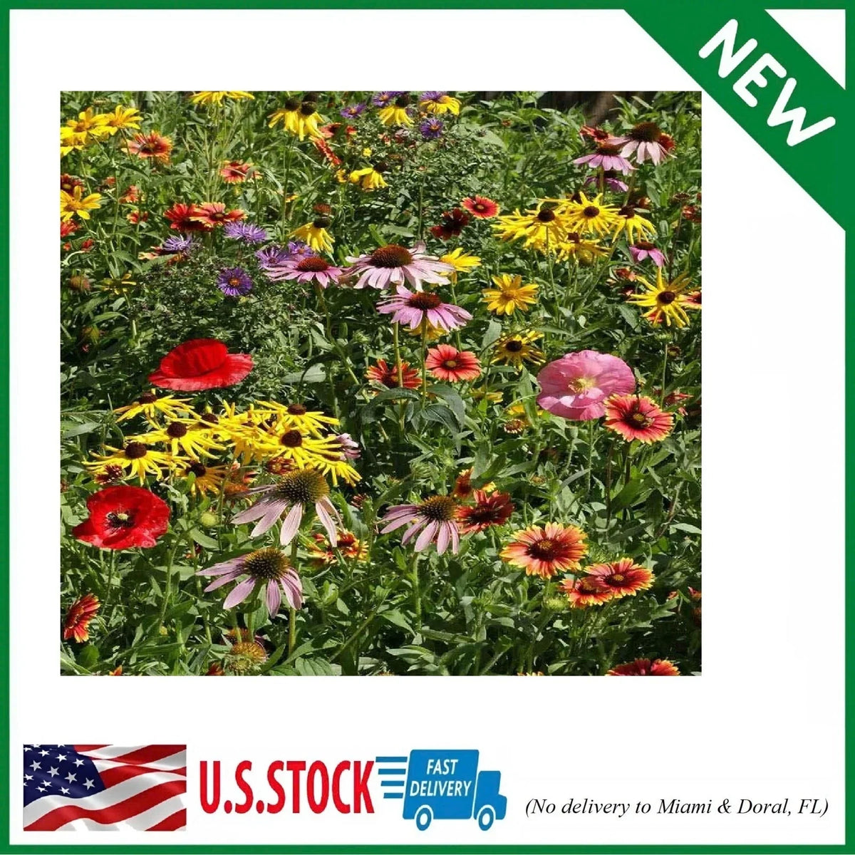 Midwest Wildflower Seed Mix 1 lb Native Annual & Perennial Wildflower Seeds for Pollinators & Garden Borders