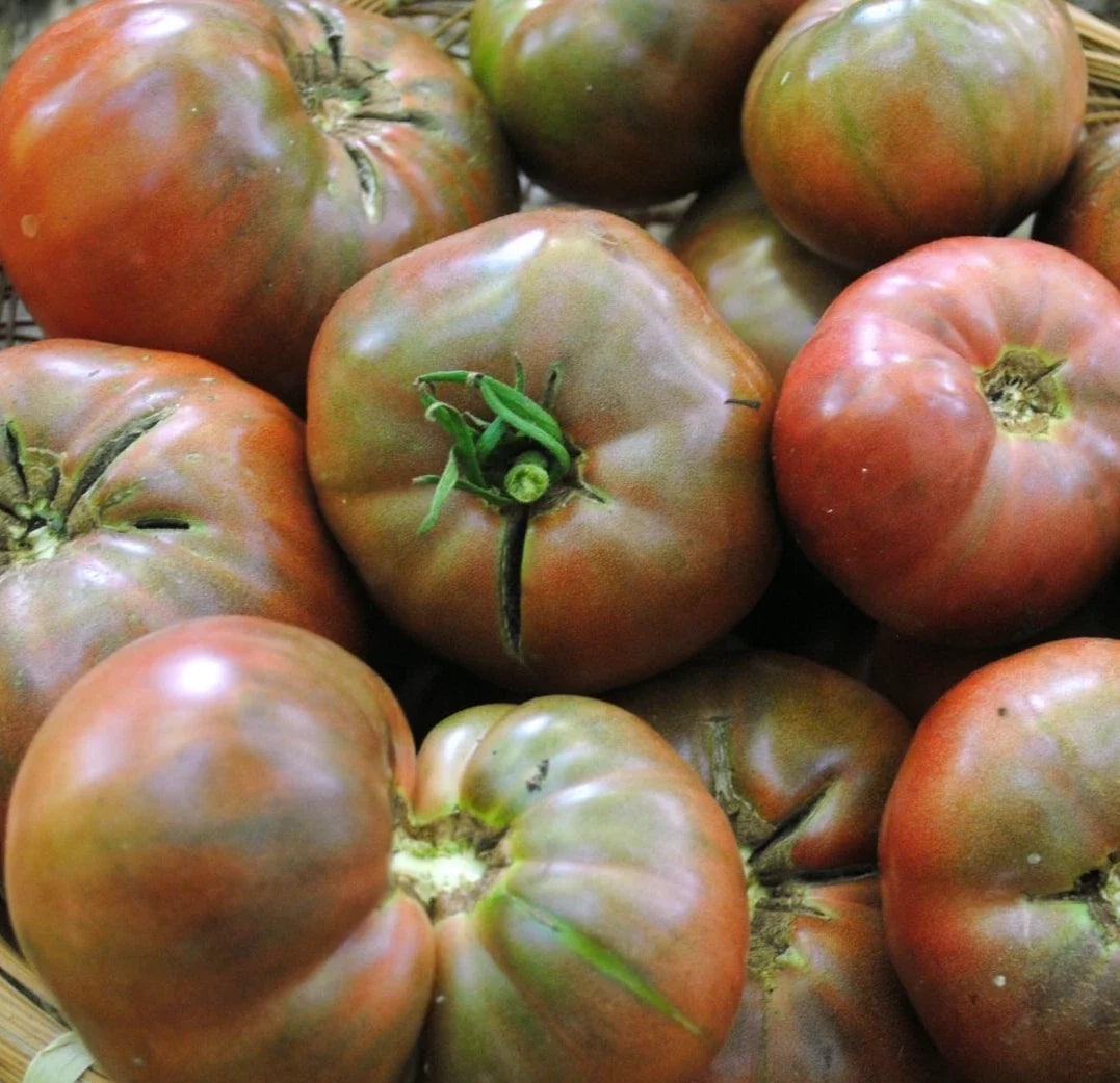 Cherokee Purple Tomato Seeds – Non-GMO Indeterminate Vegetable – Solanum Lycopersicum – Heirloom, Rich Flavor, 100+ Seeds