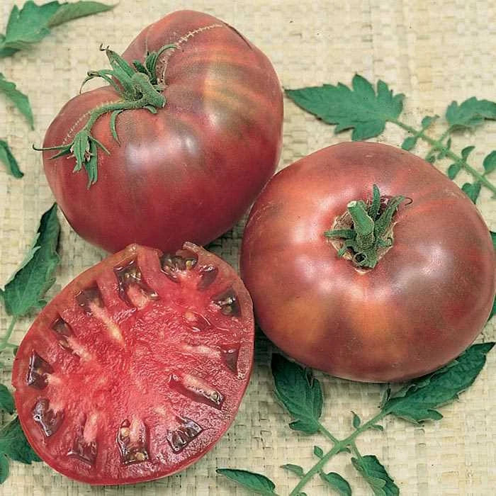 Cherokee Purple Tomato Seeds - Heirloom NON-GMO Solanum lycopersicum