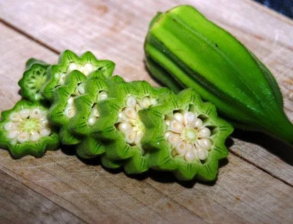 Star of David Okra Seeds - 25+ Organic Heirloom Non-GMO Abelmoschus esculentus