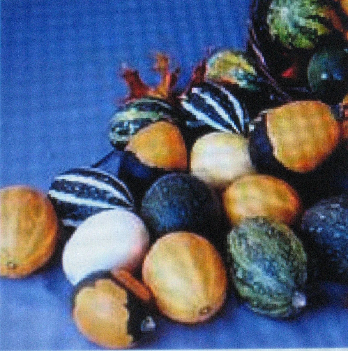Gourd Seeds Mix – Large & Small Varieties for Crafts & Decorations – Lagenaria siceraria Seed Pack