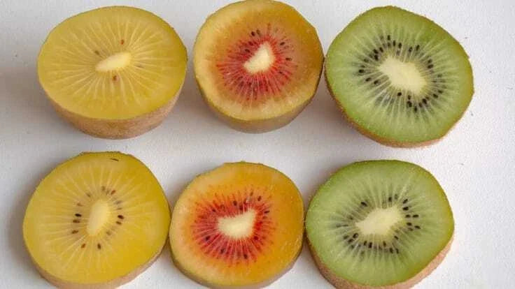 Organic Kiwi Fruit Seeds Pack - Golden, Yellow, Red, Green Varieties - Actinidia deliciosa Non-GMO Seeds