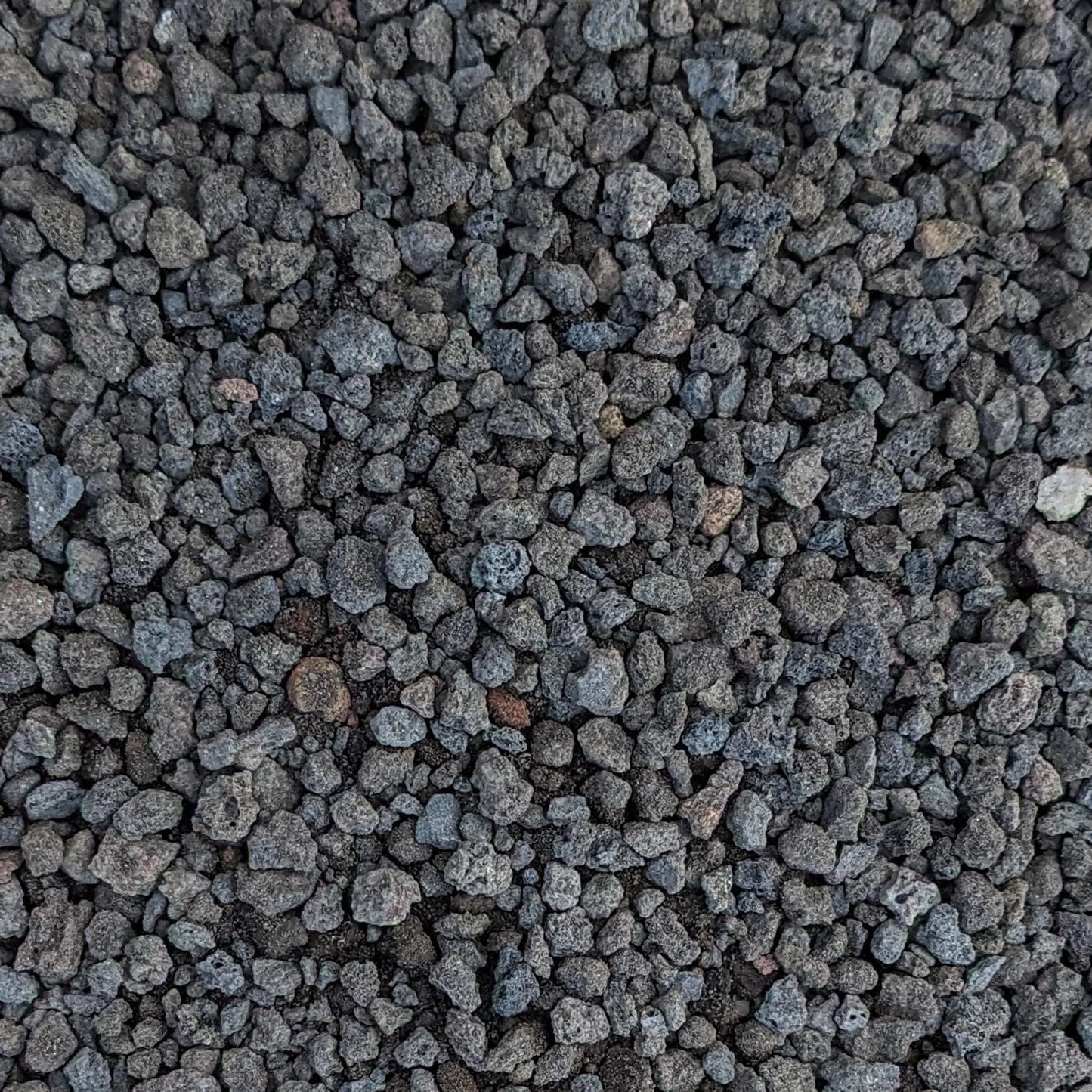 Black Lava Rocks for Plants 1/4" Natural Volcanic Rock for Drainage, Succulents, Terrariums & Landscaping
