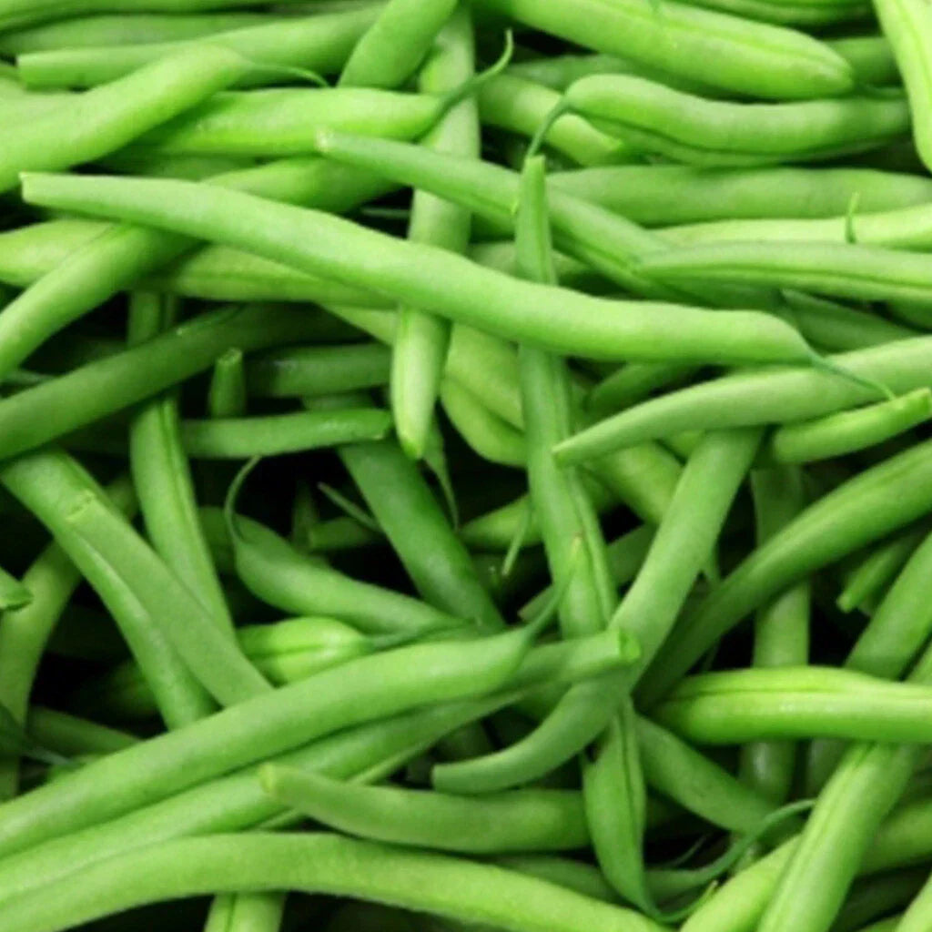 Kentucky Wonder Pole Bean Seeds 50 Ct Heirloom NON-GMO Vegetable Garden Seeds