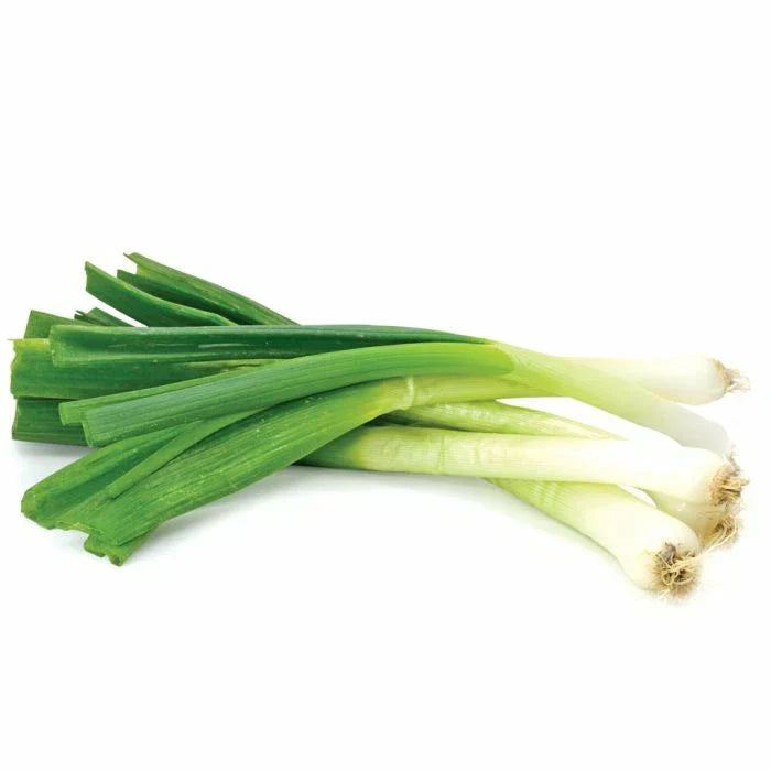 Toky Long White Bunching Onion Seeds - Allium fistulosum Heirloom Vegetable Seeds