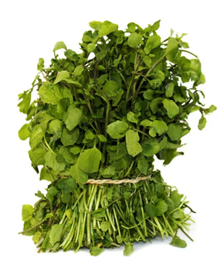 Watercress Seeds - 500+ True Nasturtium officinale Seeds for Microgreens & Superfood