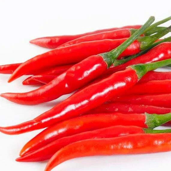 Cayenne Long Slim Pepper Seeds - Capsicum annuum for Home Gardening