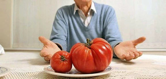 Behemoth Giant Tomato Plants - Largest Fruit Variety, Heavy Yielding Seeds for Home Gardens