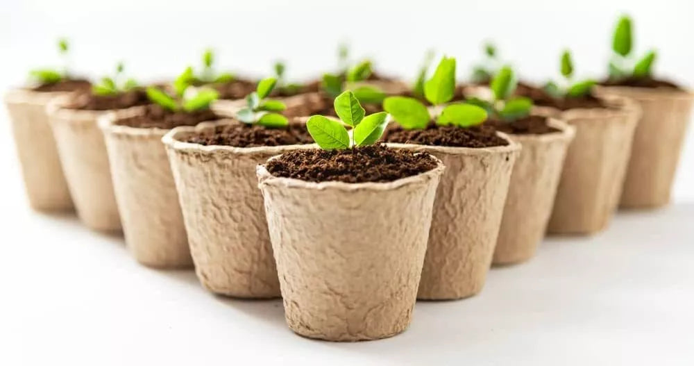 3 Inch Biodegradable Starter Pots - 50 Pack Eco-Friendly Planting Containers