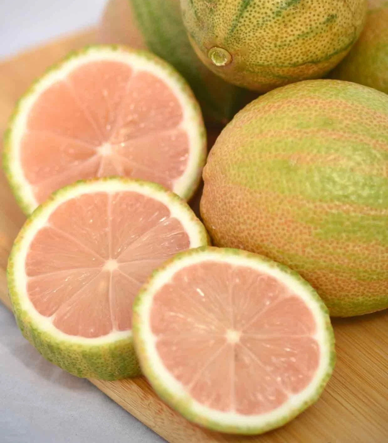 Pink Lemon Tree Plant – Fruiting Size – Pink Lemons – Citrus limon 'Pink' – Potted Tree for Garden or Patio
