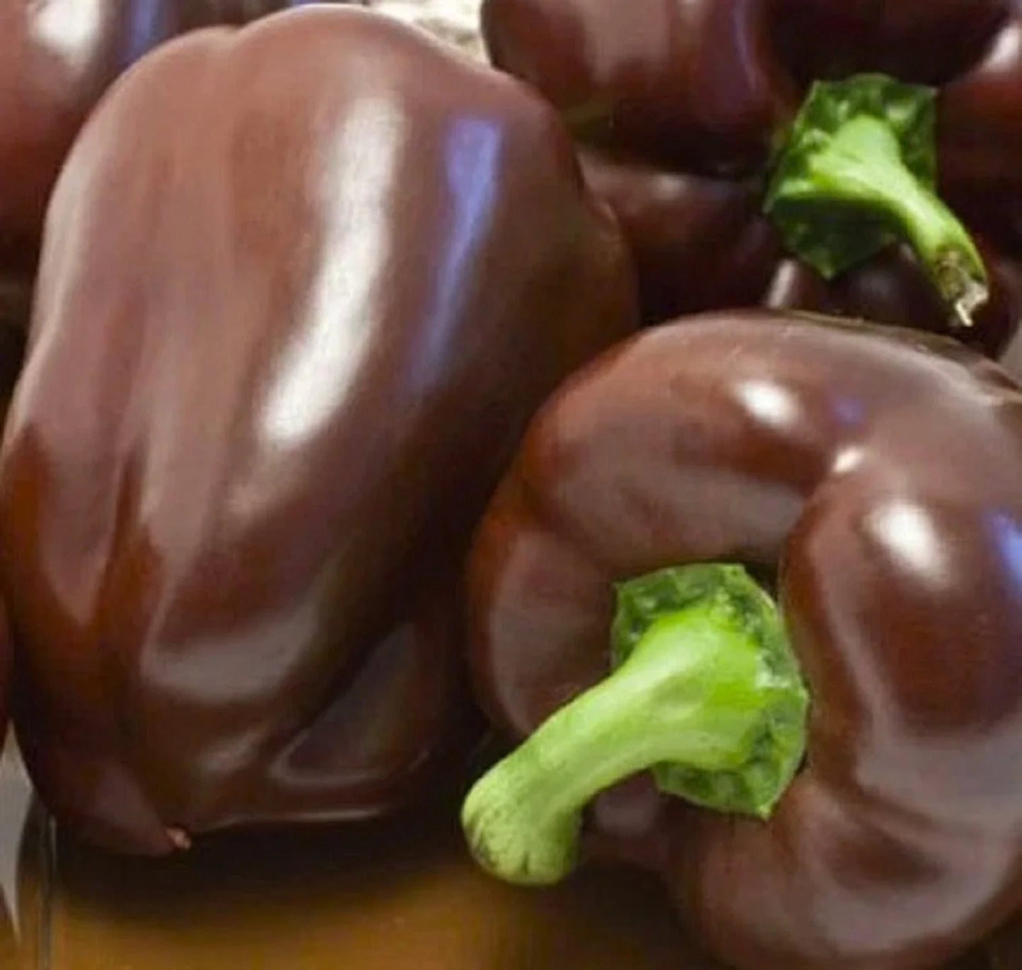 Sweet Chocolate Bell Pepper Seeds - Non-GMO Heirloom Variety for Home Gardening, Capsicum annuum, 50+ Seeds