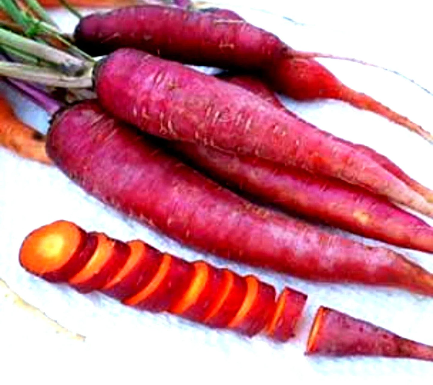 Purple Dragon Carrot Seeds - Non-GMO Heirloom Daucus carota, 200+ Seeds