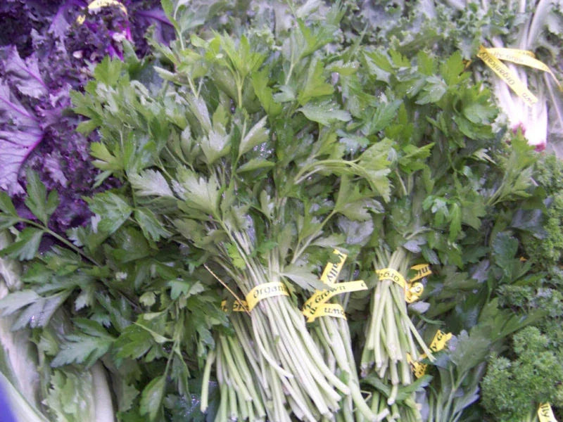 940 Seeds Parsley Herb - Petroselinum crispum - Culinary & Gardening Seeds
