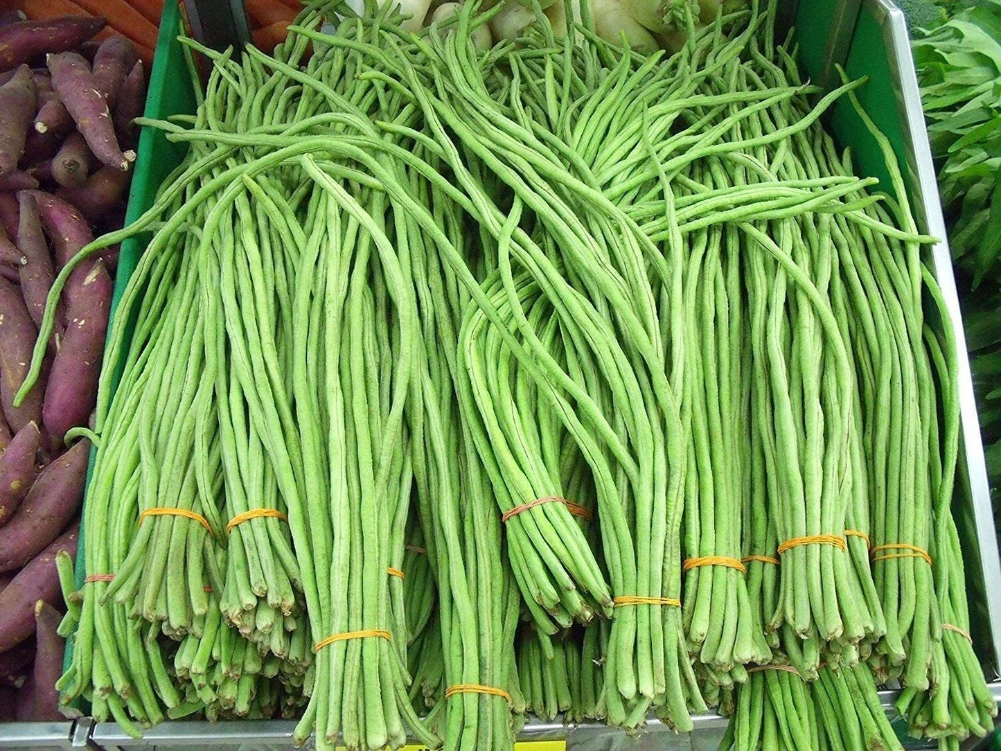 Asian Long Bean Seeds - 30 Seeds, Fast Growing Sweet Tende Variety, Climbing Vine, Vigna unguiculata subsp. sesquipedalis