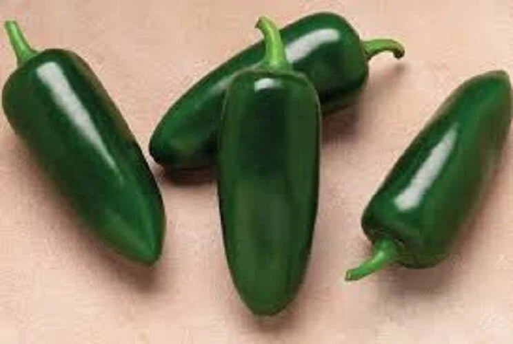 Organic Heirloom Jalapeno Seeds - Premium Capsicum annuum for Spicy Salsas & Cooking, 2000-8000 Scoville, Full Sun, Resealable Pack