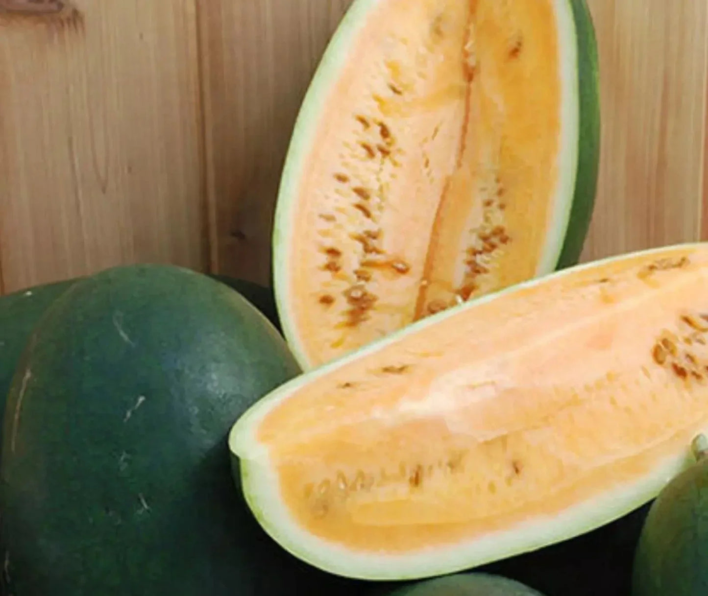 Sweet Siberian Watermelon Seeds - 10 Heirloom Non-GMO Organic Seeds for Home Gardening