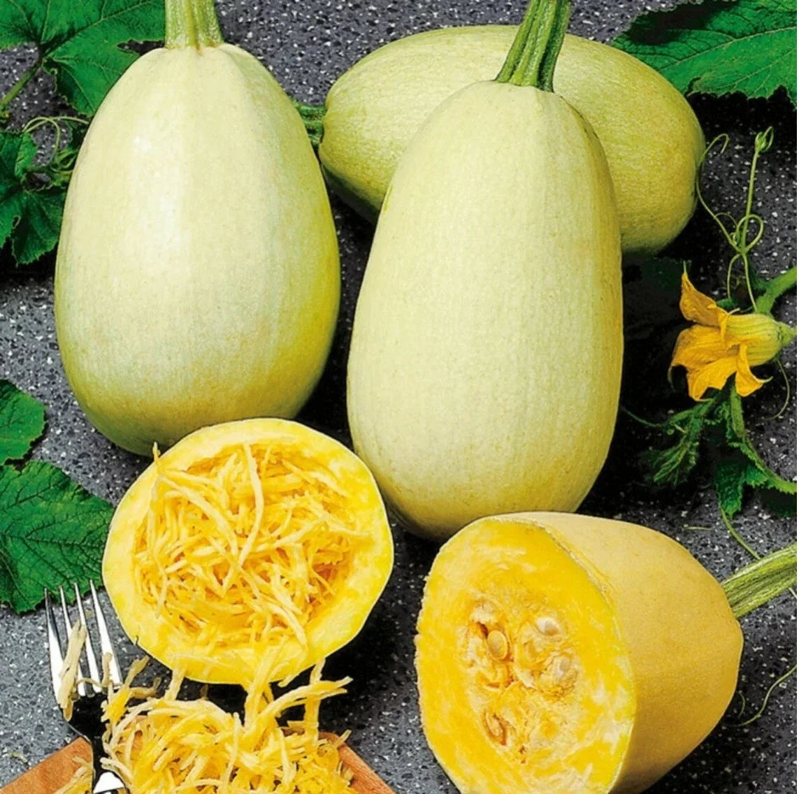 Organic Spaghetti Squash Seeds - Non-GMO Heirloom Cucurbita pepo, Vining, 5-100 Seeds