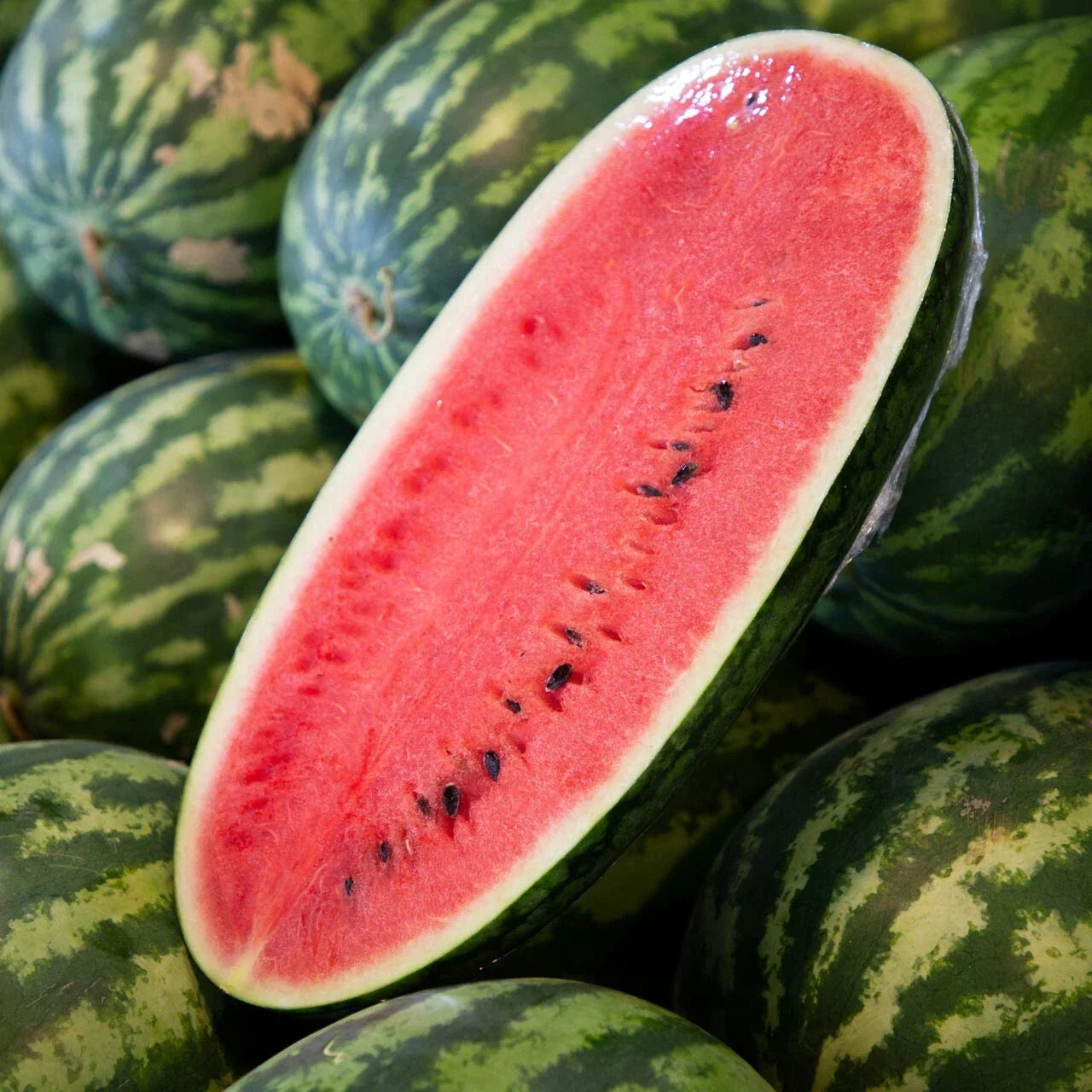 Congo Watermelon Seeds - 50+ Citrullus lanatus Garden Planting, Juicy, Sweet, Vining, USA Quality