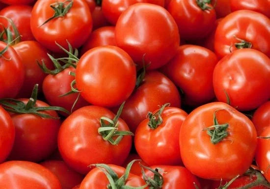 Early Girl Hybrid Tomato Seeds - Bush Type, 15 Seeds, Solanum lycopersicum, Compact, Fast-Maturing, Disease-Resistant