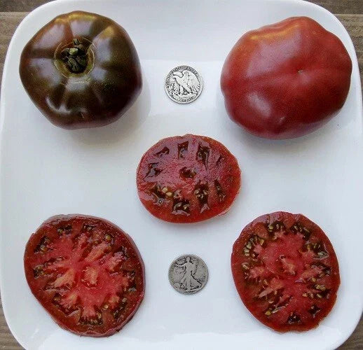 Paul Robeson Tomato Seeds - 25 Fresh Heirloom Purple Seeds - Solanum lycopersicum
