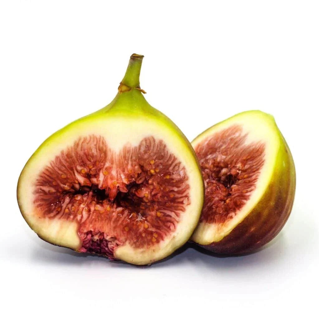Brown Turkey Fig Seeds - Organic Ficus carica for Garden Planting, Home Garden, Container Growing, 100+ Seeds