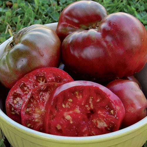 Black Krim Tomato Seeds - Heirloom, Non-GMO, Organic - Solanum lycopersicum