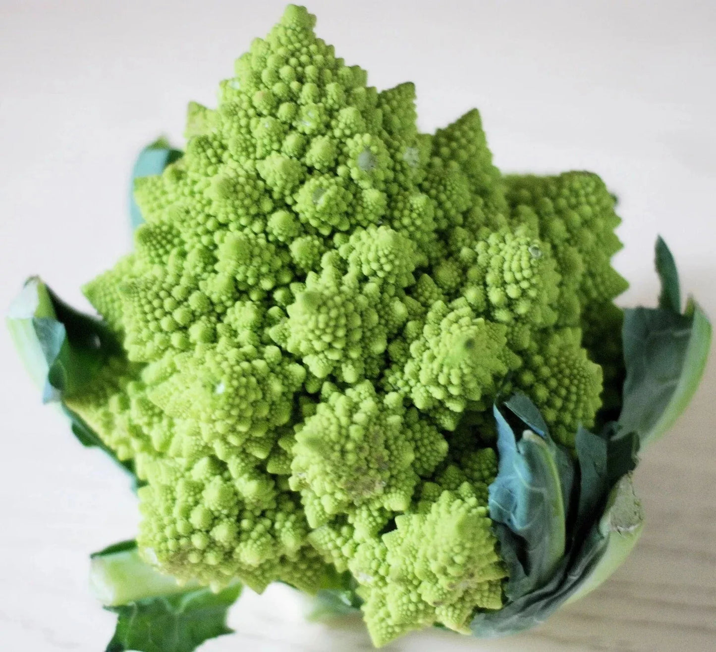 Romanesco Broccoli Seeds - Organic, Non-GMO, Heirloom, 200+ Seeds for Home Gardening & Cooking, Brassica oleracea var. botrytis