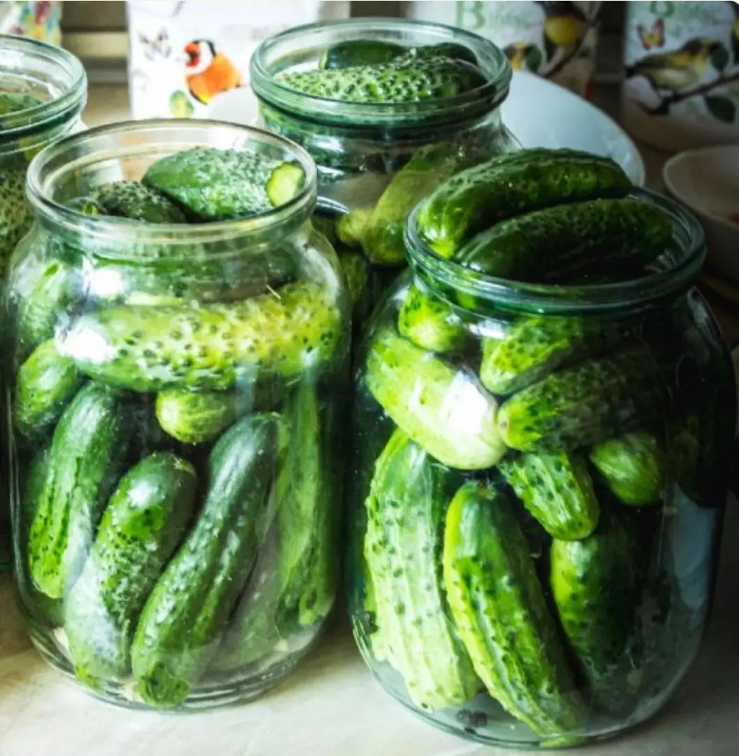 Boston Pickling Cucumber Seeds – Non-GMO, 500 Pack, Cucumis sativus, Perfect for Pickling & Salads