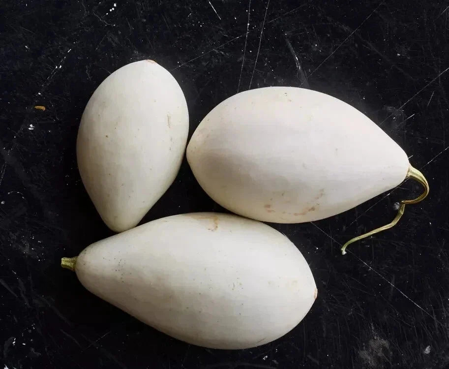Nest Egg Gourd Seeds - 25+ Pack, Lagenaria siceraria, Garden Planting, Vining, Organic, Non-GMO, Easy Grow, Home Decor