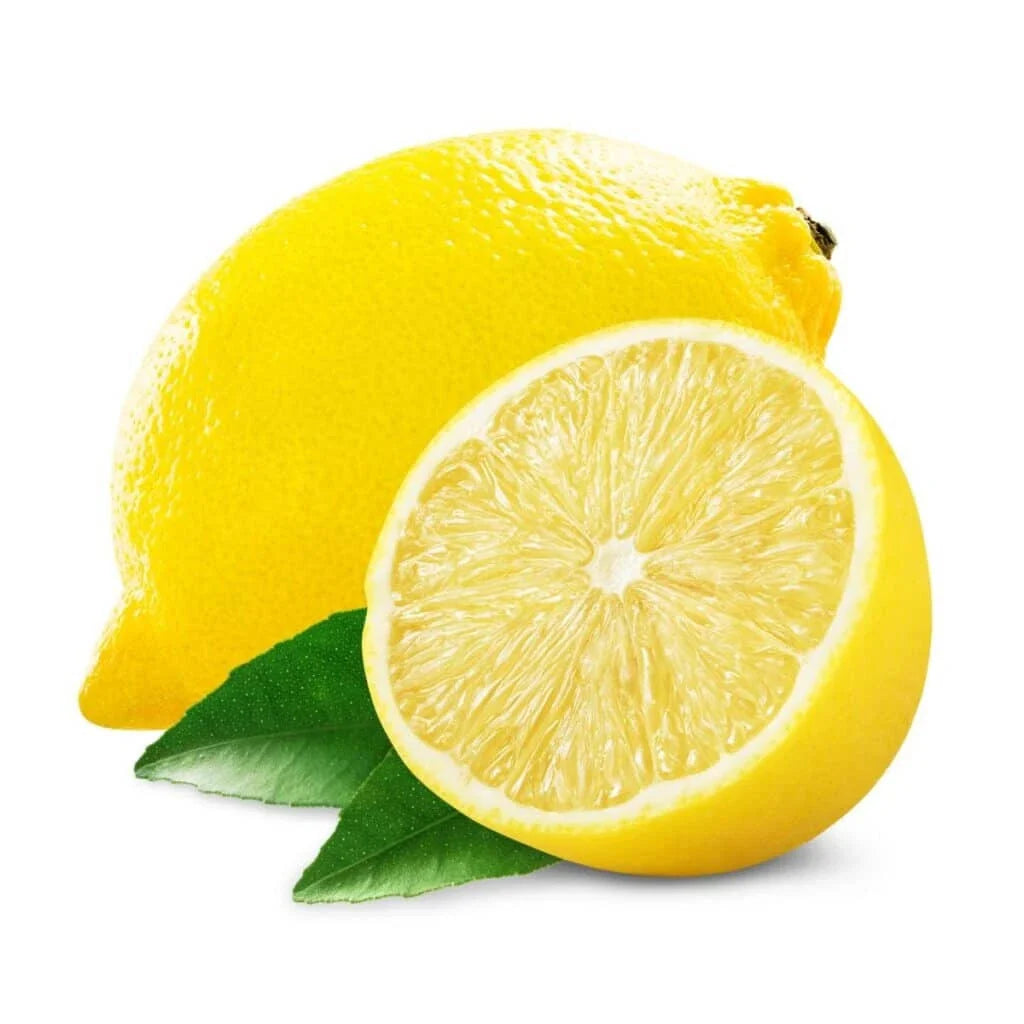 Santa Teresa Lemon Seeds - Pack of 5 Citrus limon Fruit Tree Seeds for Home Garden, Container Growing, USA Grown
