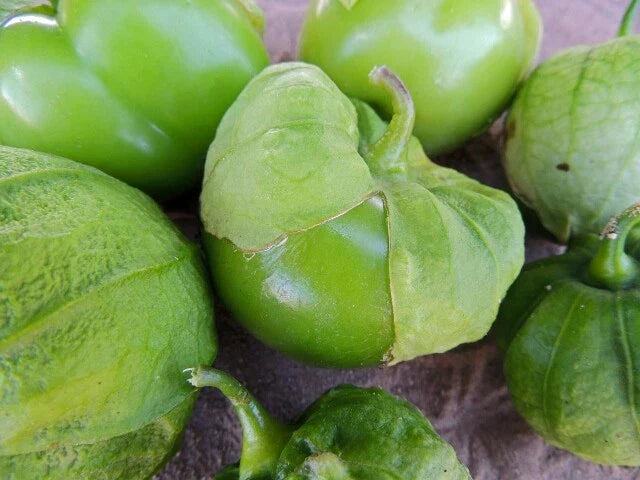 Toma Verde Tomatillo Seeds - Organic Non-GMO Heirloom Tomato Seeds - High Germination