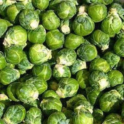 Organic Brussels Sprouts Seeds - Long Island Improved Variety, Brassica oleracea, Home Garden, Nutrient-Rich, Full Sun