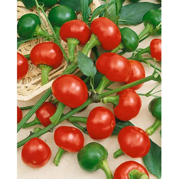 Large Red Cherry Hot Pepper Seeds - 100 Non-GMO Heirloom Capsicum annuum